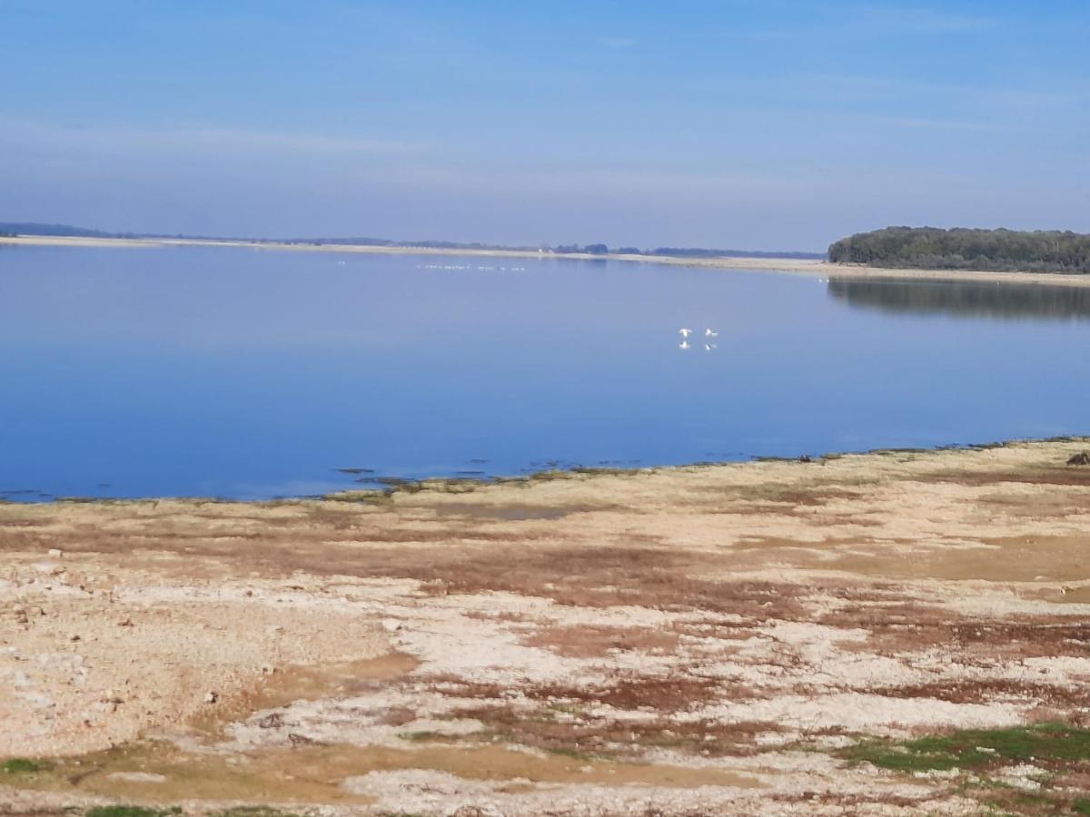 Marne Lac Du Der Joli Chalet Au Charme Du Der Chatillon-sur-Broue Exteriér fotografie